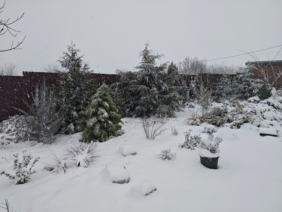 А тут я уже поработала