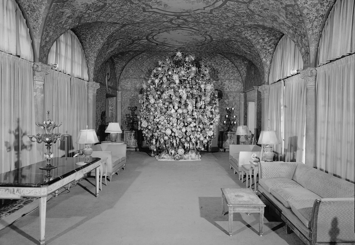 Дерево, которое рассказывало жизнь