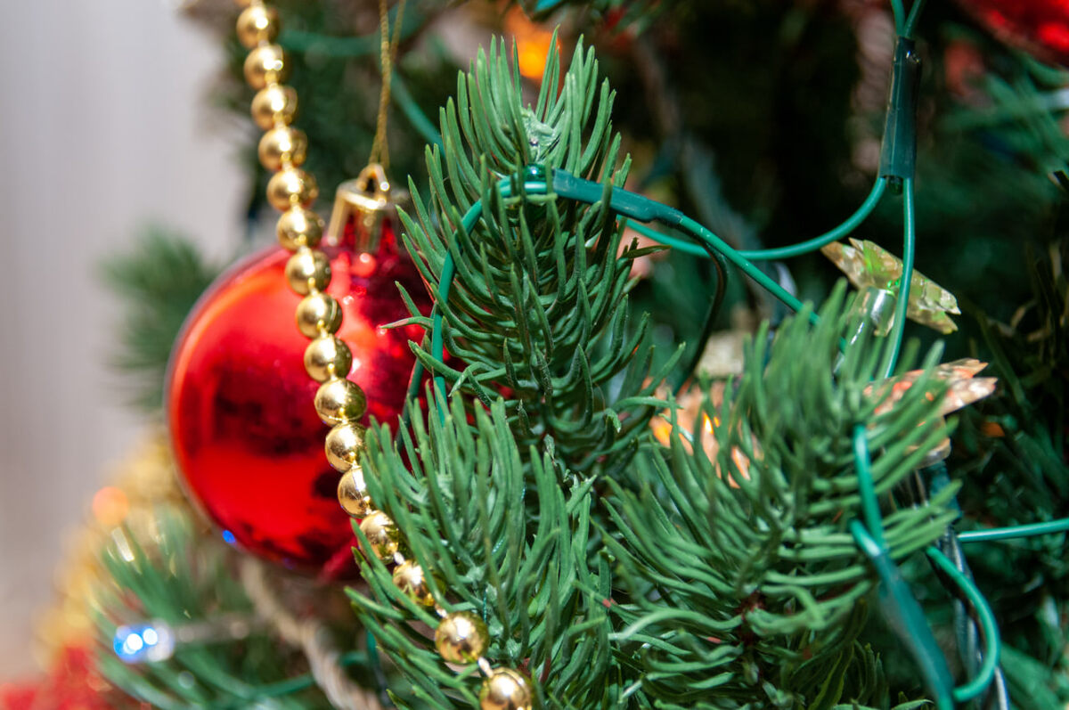 Праздник отмечают в ночь с 13 на 14 января.  Фото: Фото: ФедералПресс / Светлана Возмилова