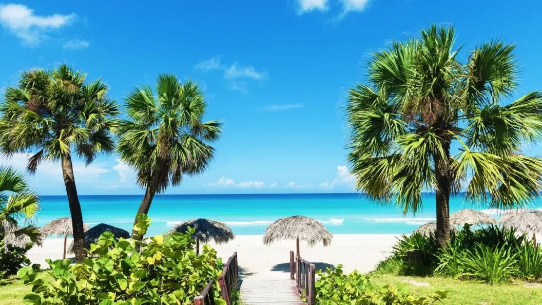    Фото: shutterstock