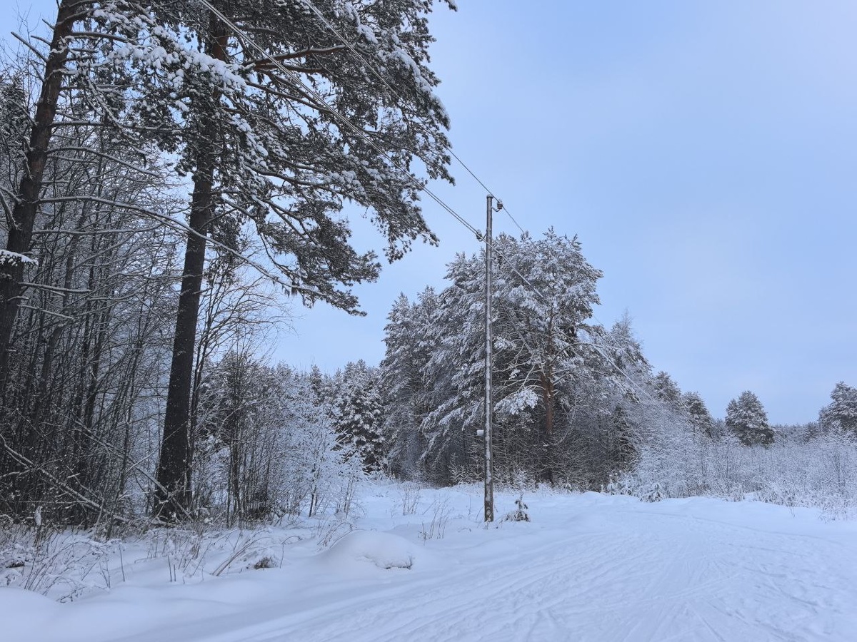 Поиски возобновят весной.  Фото: Фото: ФедералПресс / Ксения Кобалия