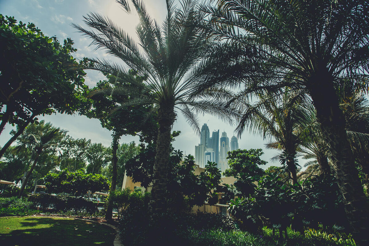     123RF/legion-media.ru