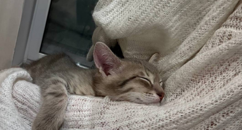    Фото Анастасии Дмитриевой