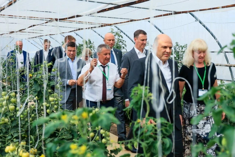 Председатель Правительства РФ М.В. Мишустин в СеДеКе с И.Н. Дубининой