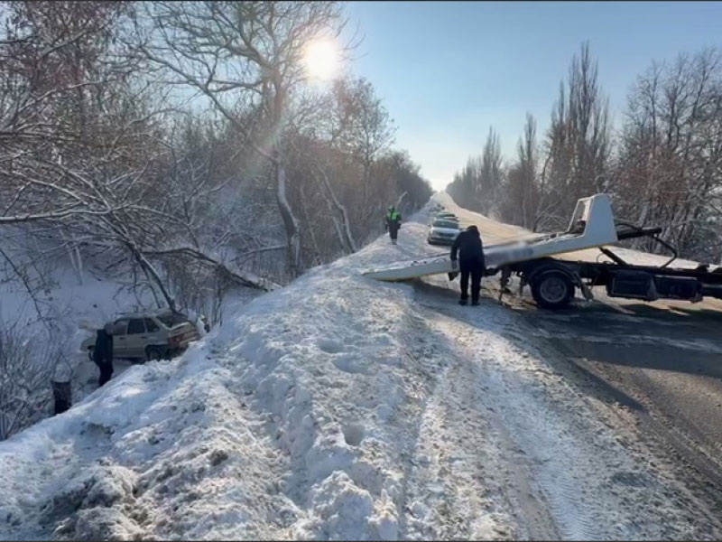     Фото: пресс-служба УМВД по Белгородской области
