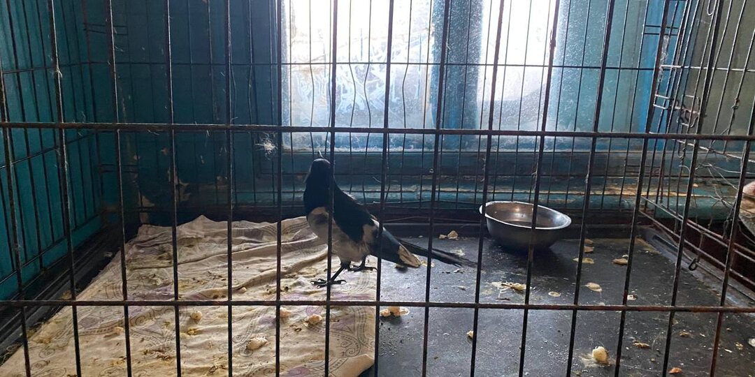 Крупяной День 💯