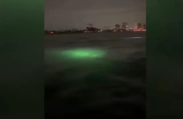 Загадочные свечения в глубинах океана — лишь верхушка айсберга необъяснимых феноменов