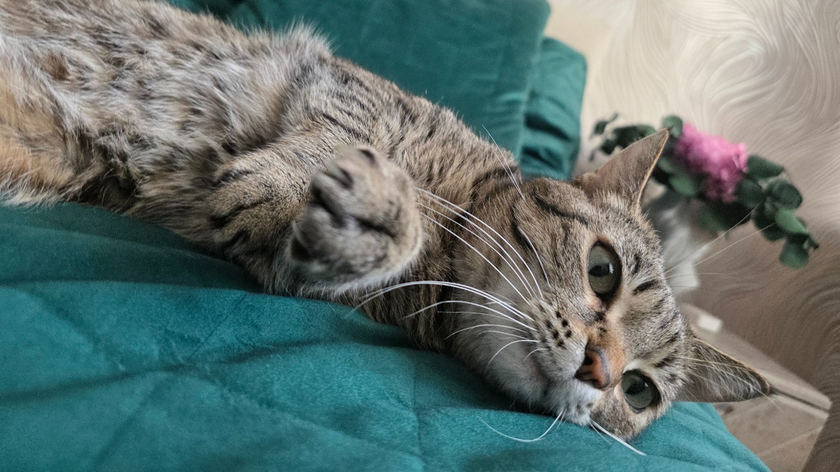 Этот мир стал мне абсолютно понятен...