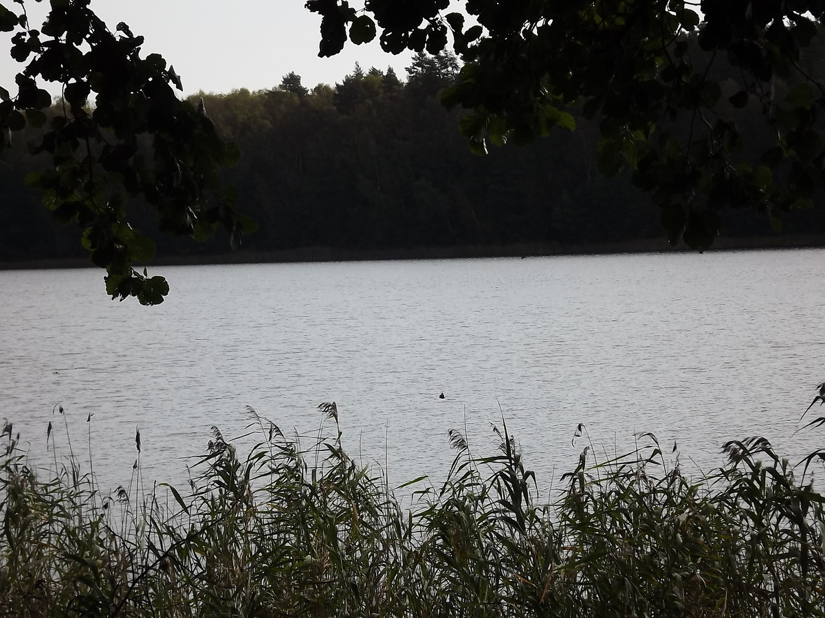 Озеро Белое