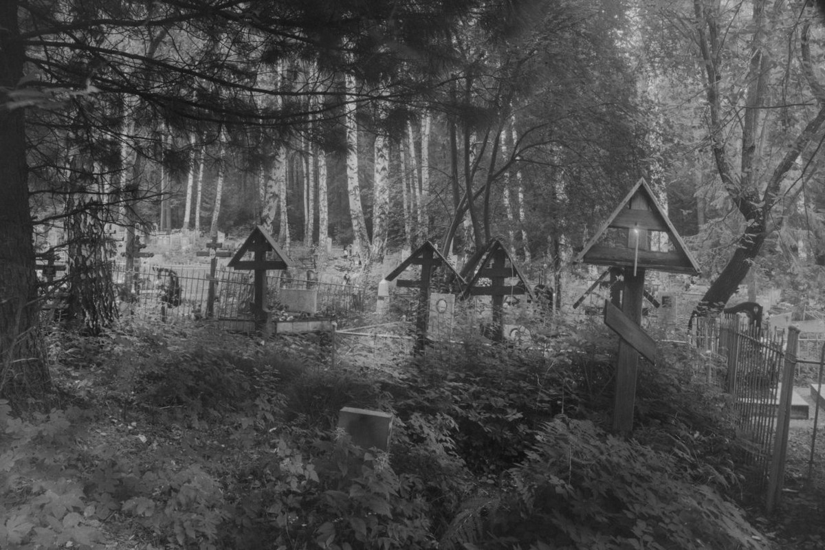 Фото из открытого доступа.