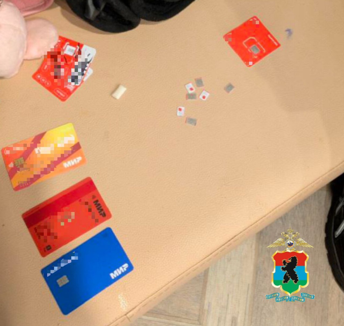    фото: © МВД Карелии