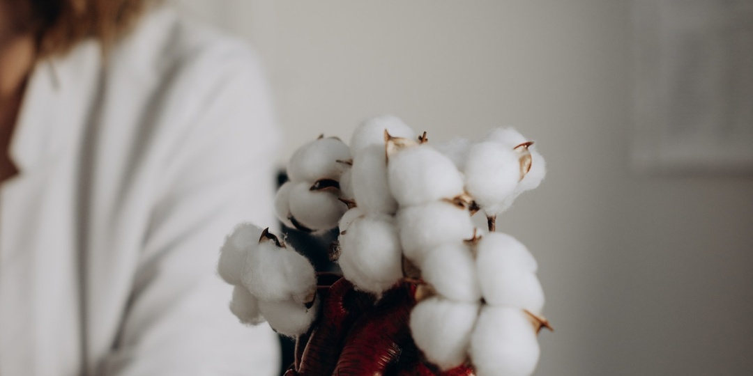 Если сердце бьётся слишком редко: стоит ли бояться его остановки?