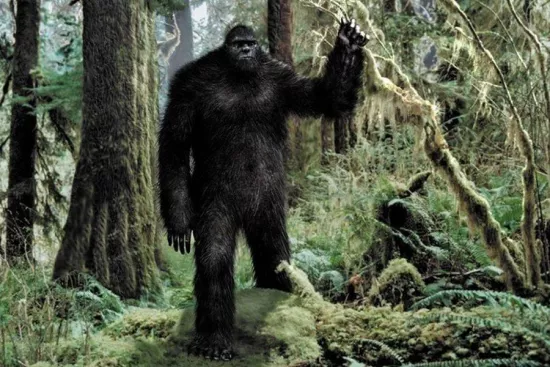 Как страх осуждения заставил очевидца 30 лет скрывать встречу с яуи