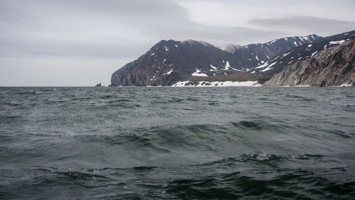    Фото: Andrei Stepanov / Shutterstock / Fotodom