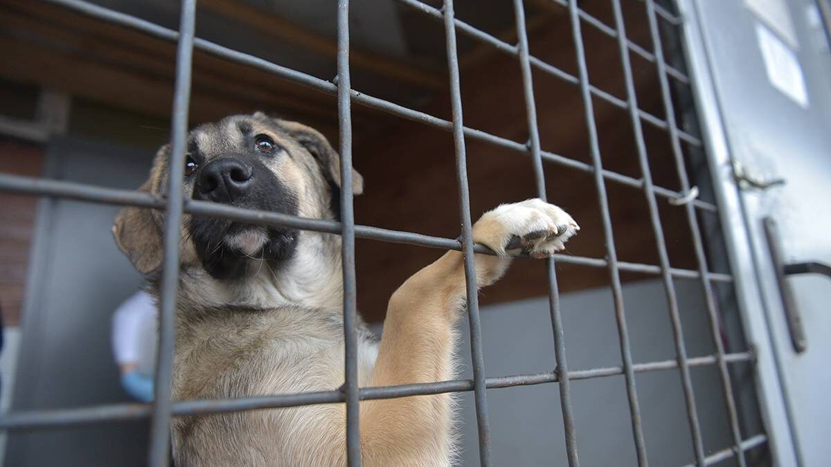    Фото: Наталья Феоктистова / Вечерняя Москва
