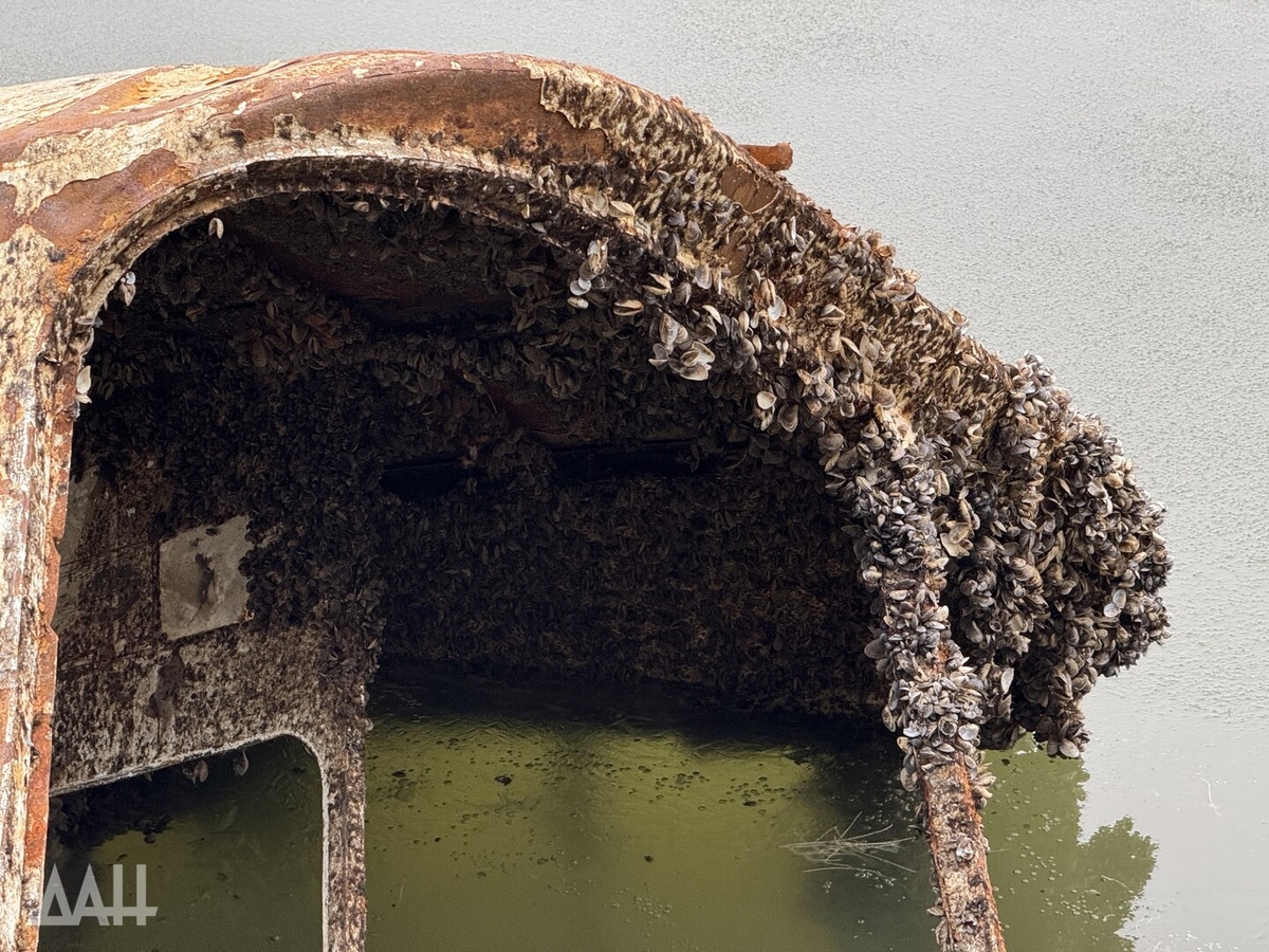    Фото: Донецкое агентство новостей