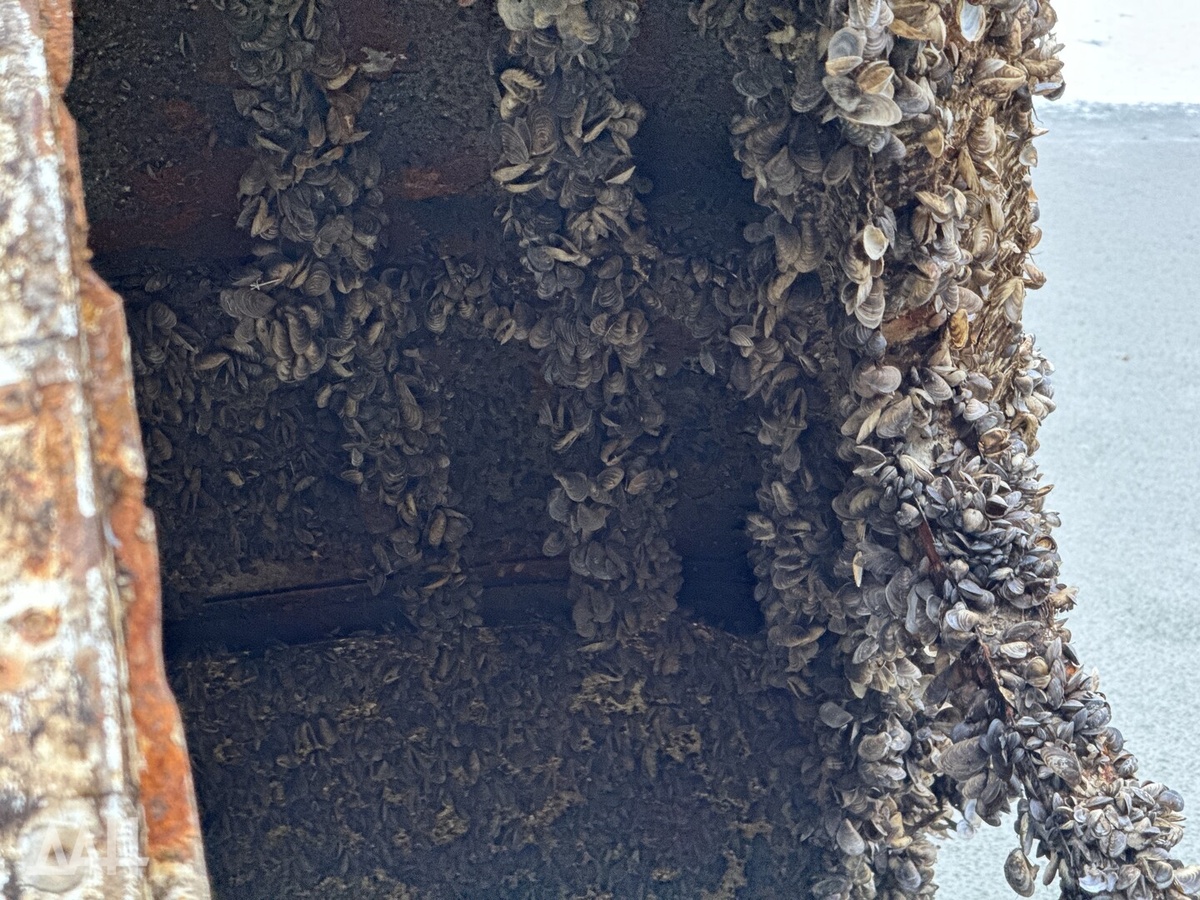    Фото: Донецкое агентство новостей