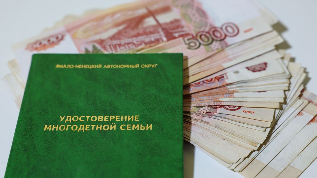    Фото: Андрей Ткачев / «Ямал-Медиа»