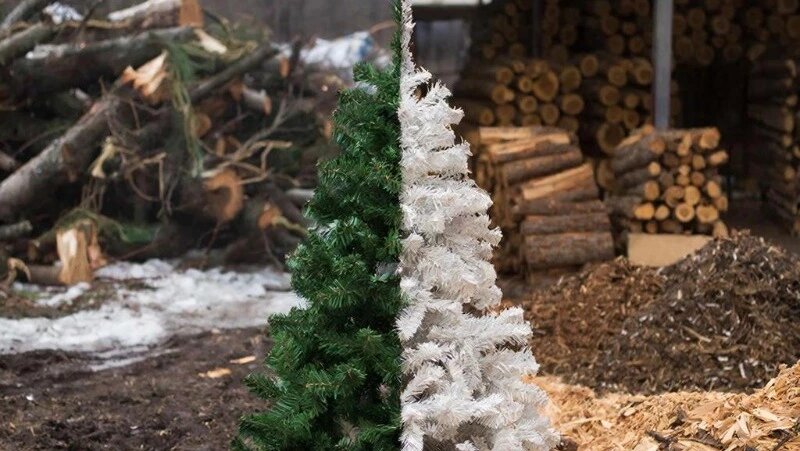      Фото: сгенерировано нейросетью ГигаЧат
