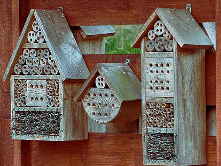 Домики для насекомых — это про экологию или гламур?