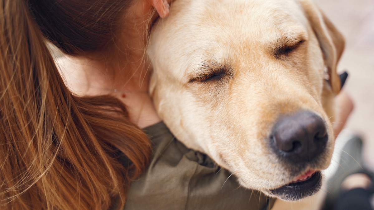 Я не вижу ничего страшного в том, чтобы принять собаку такой, какая она есть. Фото prostooleh/Freepik