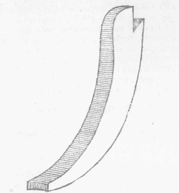 Contre-e’trave; Переднее шпунтовое дерево (Foor slemphout), внутренний штевень (Binne steven), слапер (Slaper), колено (Knie) на киле (kiel) и у переднего штевня (voorsteven); либо узел (Knoop) киля и штевня на флейтах (fluit schepen) в переводе с голладского.