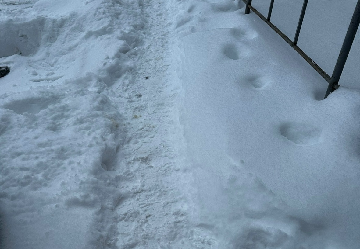    фото: © Подслушано в ПТЗ | Петрозаводск / VK