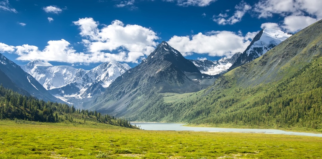 Цели жизни. Рассказ.