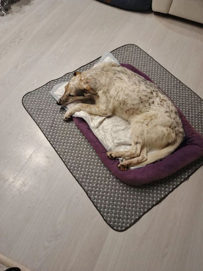    Скриншот 13-01-2026 070406