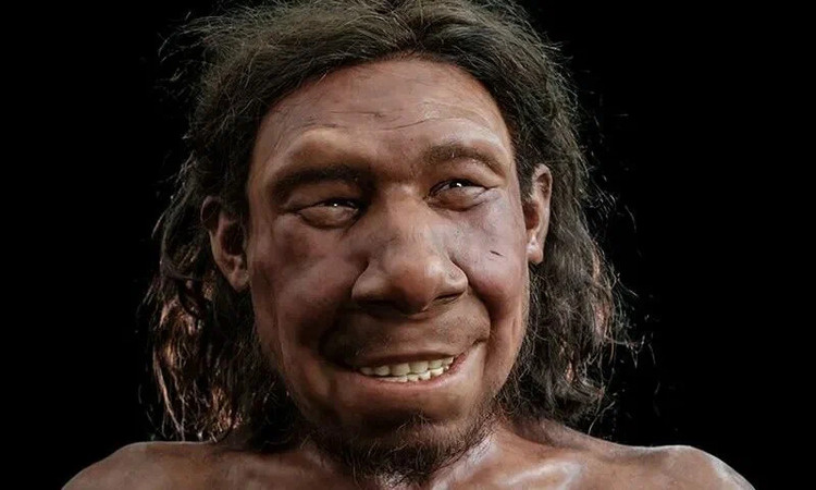 Селфи неандертальца. Шучу, конечно - неандертальцы не пользовались смартфонами.