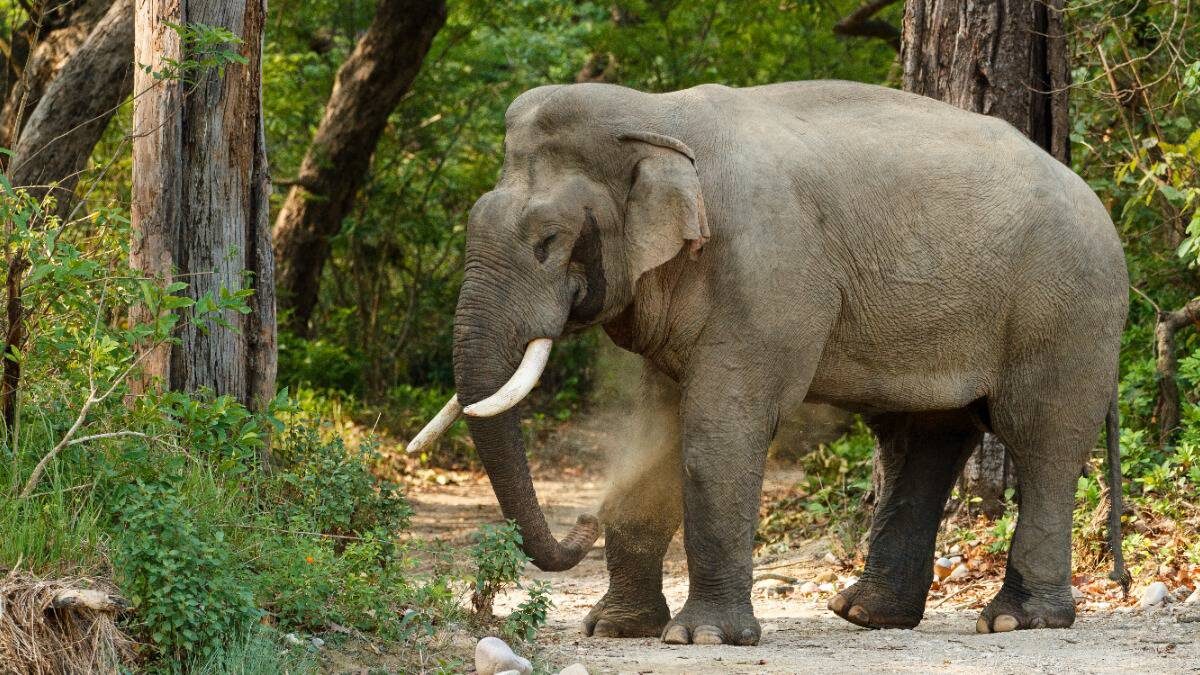    Фото: Shutterstock