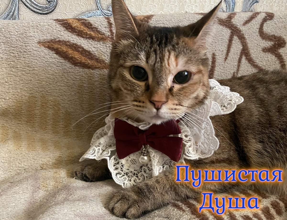 Таша. Фото из личного архива. 