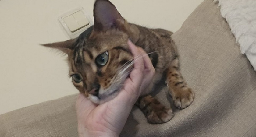    Фото Анастасии Дмитриевой