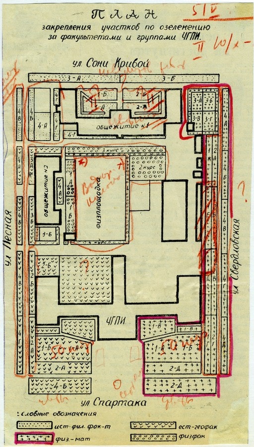 План озеленения в окрестностях института