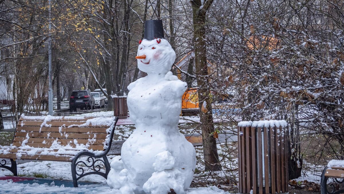    Фото: ИЗВЕСТИЯ/Константин Кокошкин