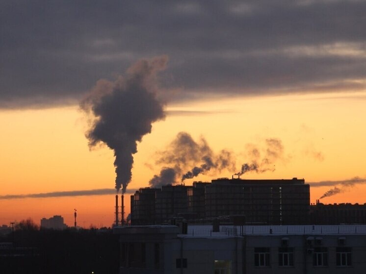     Фото: Архив МК в Питере.
