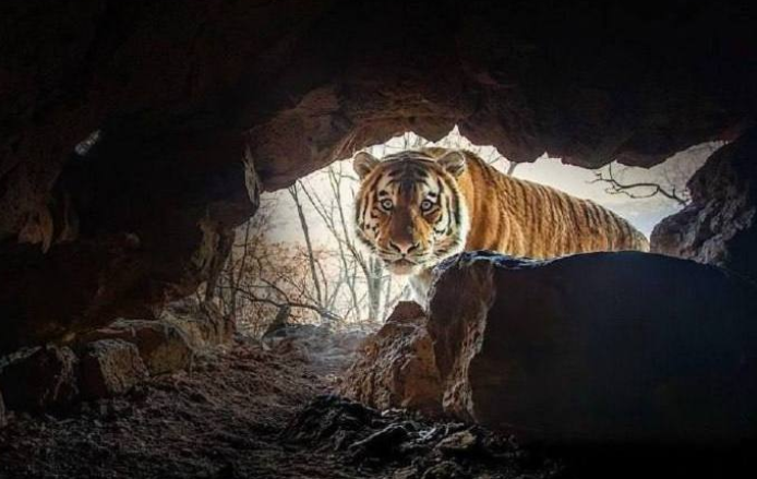    Источник фото: Саша Фонсека