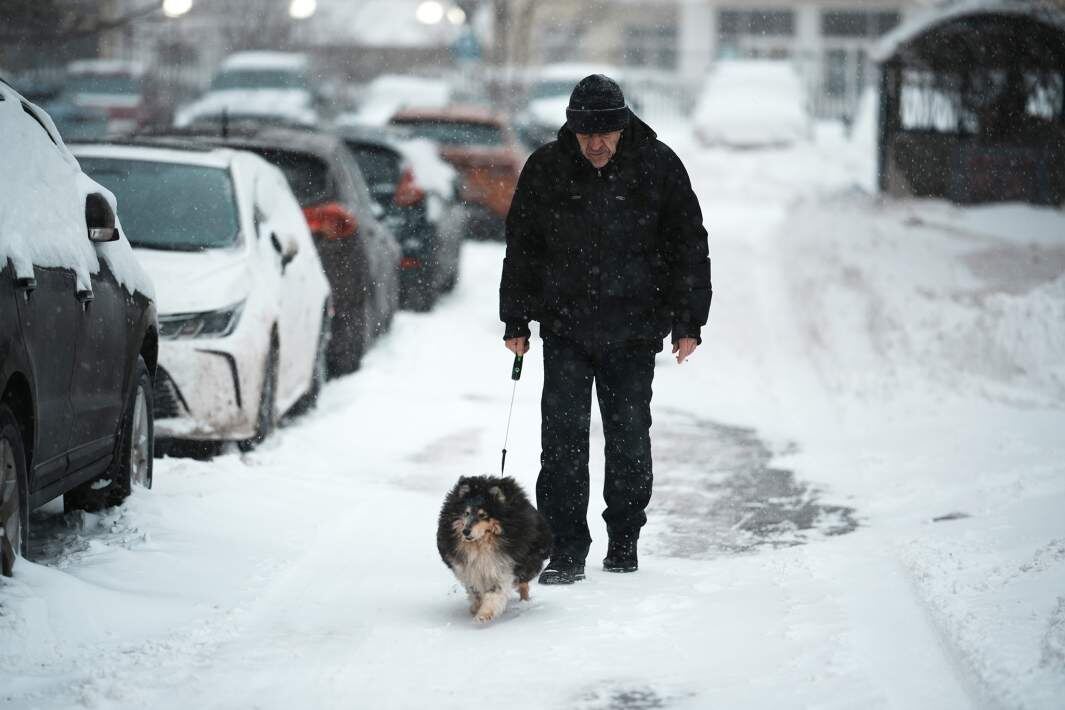 Фото: ИЗВЕСТИЯ/Сергей Лантюхов