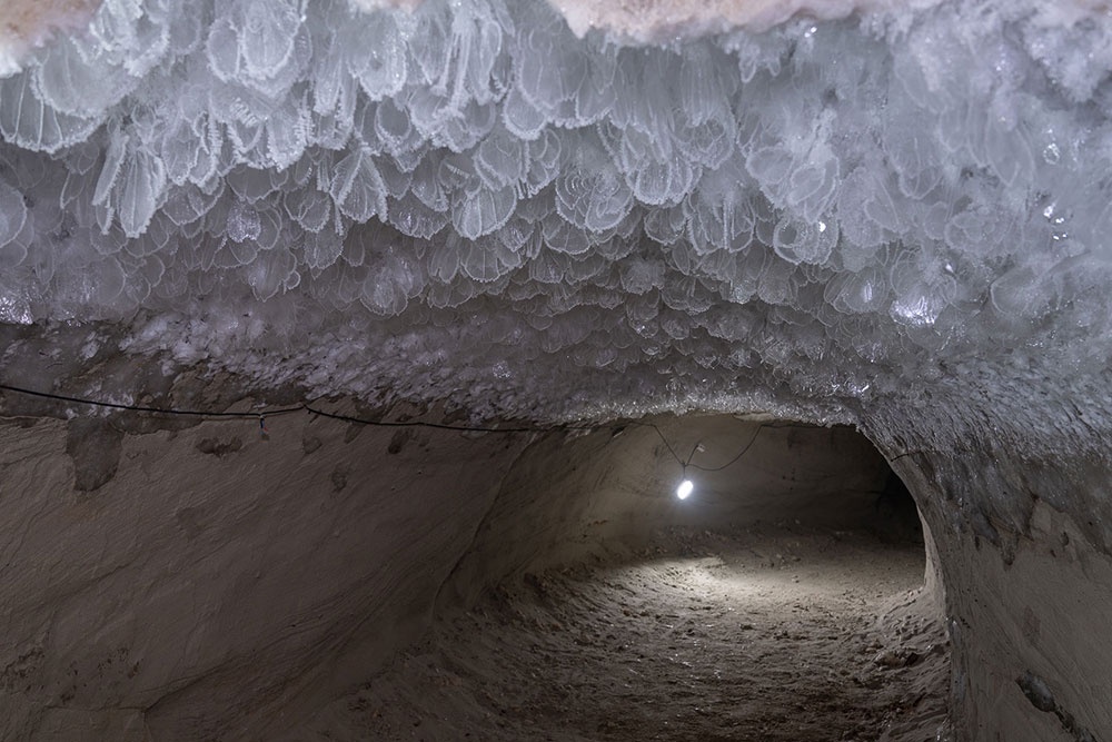 Мерзлотник в Салехарде. Фото пресс-службы губернатора ЯНАО 