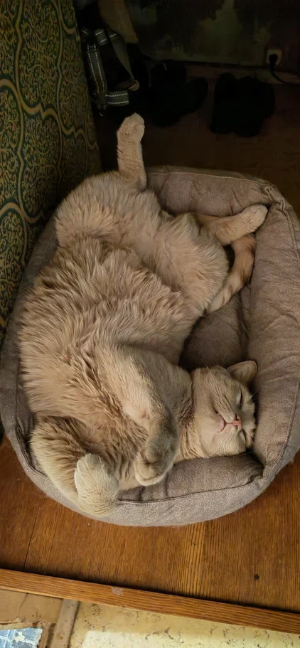 На позиции. 