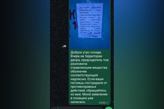    Фото: «АиФ-Дальинформ»/ Оксана Хрипун