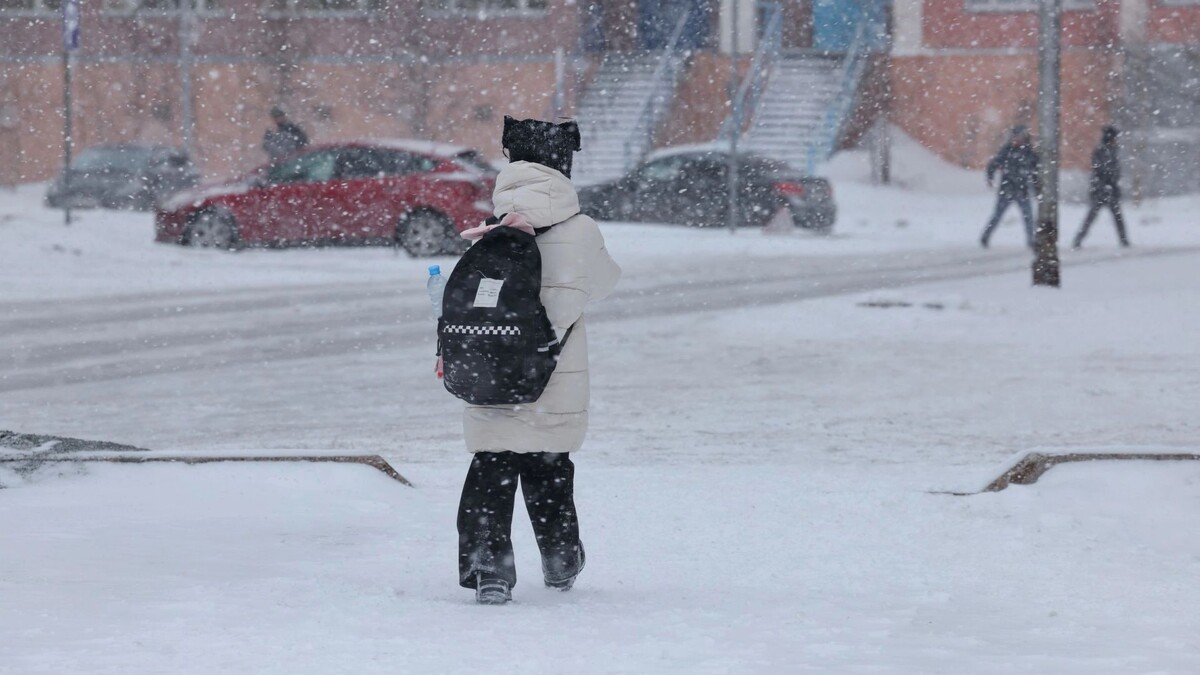    Фото: Андрей Ткачев/«Ямал-Медиа»