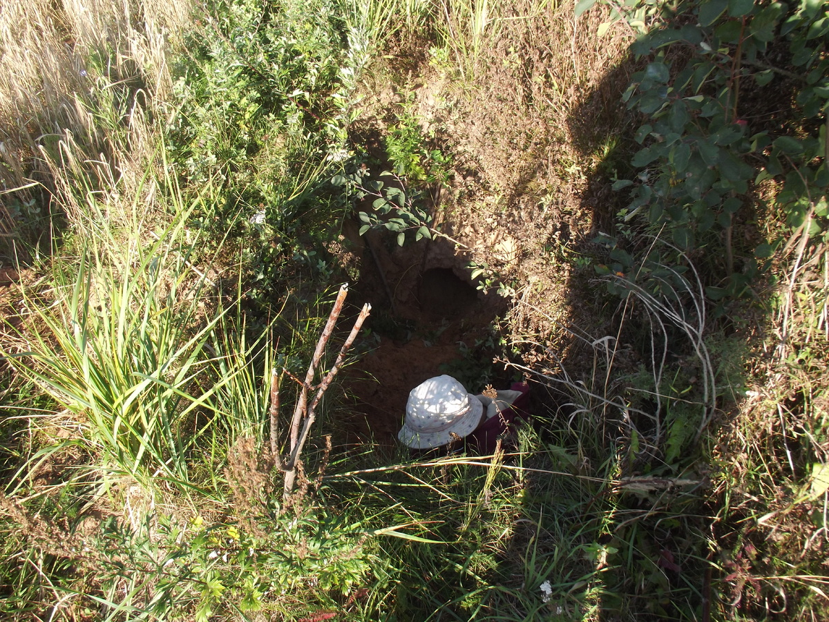 17.09.23, у норы барсука