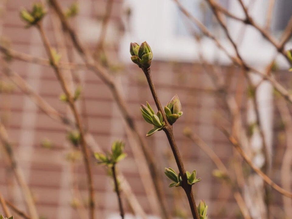    Фото: REGIONS/Наталия Надточая