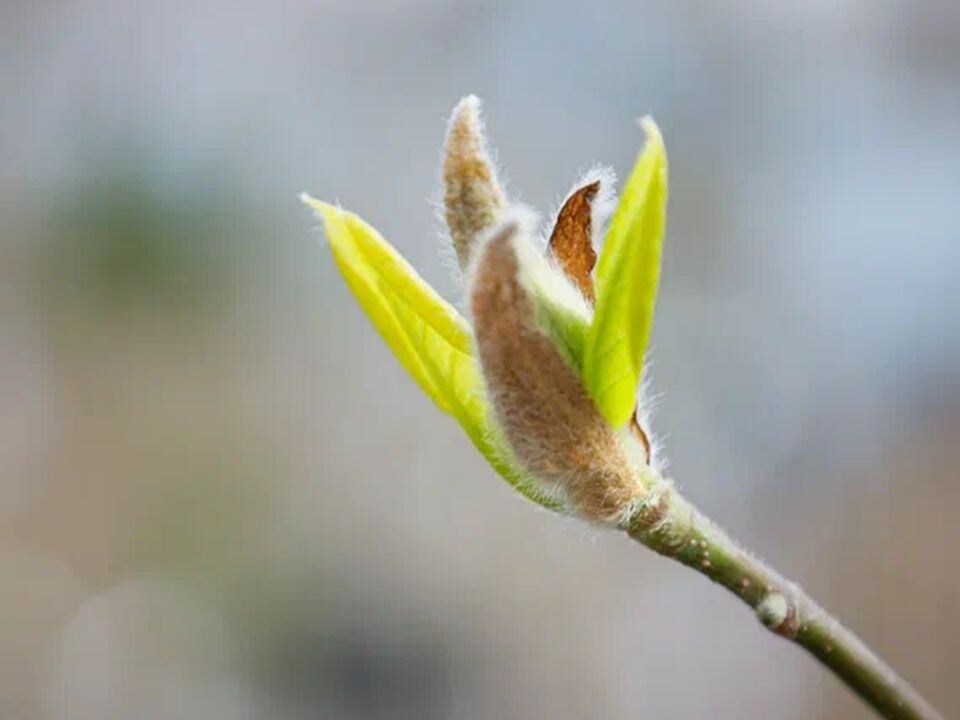     Фото: REGIONS/Наталия Надточая