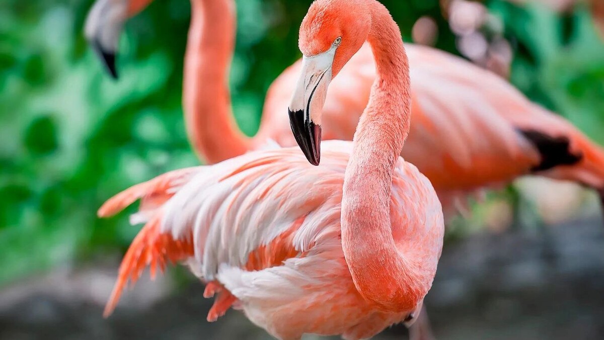    Фото: PaniYani /Shutterstock/Fotodom