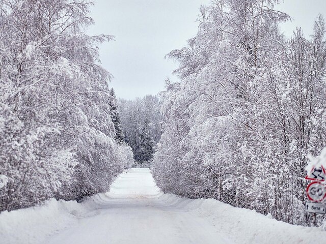    Фото: портал мэра и правительства Москвы/Максим Денисов