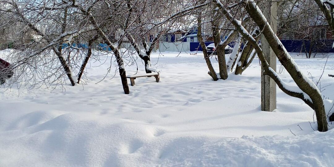 Солнце светит, но не греет. Зимушка-зима в Краснодарском крае.