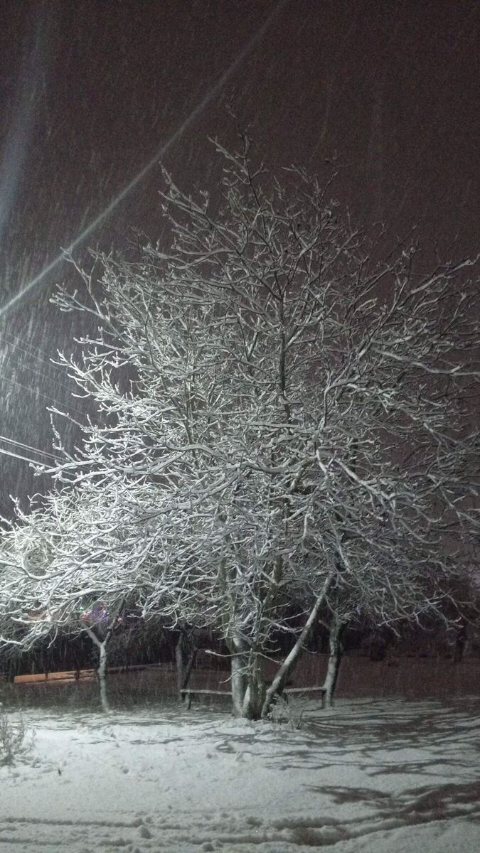 Снегопад с 30-на 31 декабря