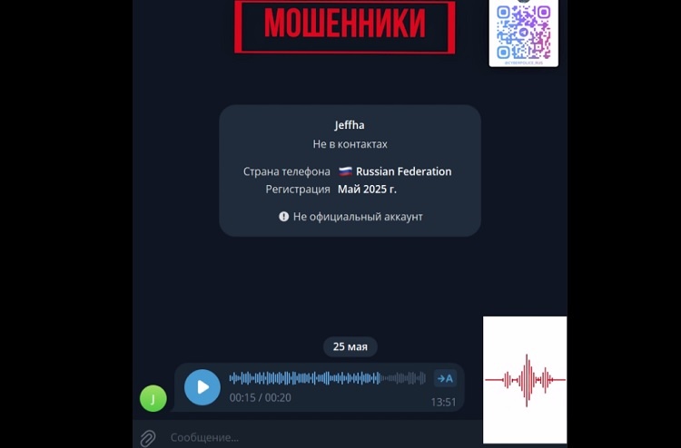    На фото стоп-кадр ТГ-канала "Вестник Киберполиции России" Редактор